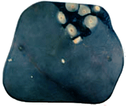 NO.7-63-31